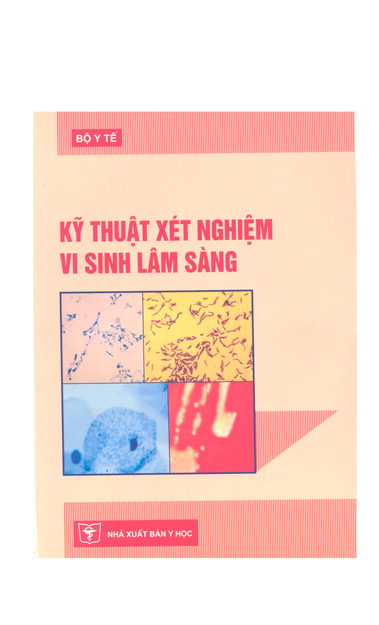 Kỹ thuật xét nghiệm vi sinh lâm sàng  - Phần 1