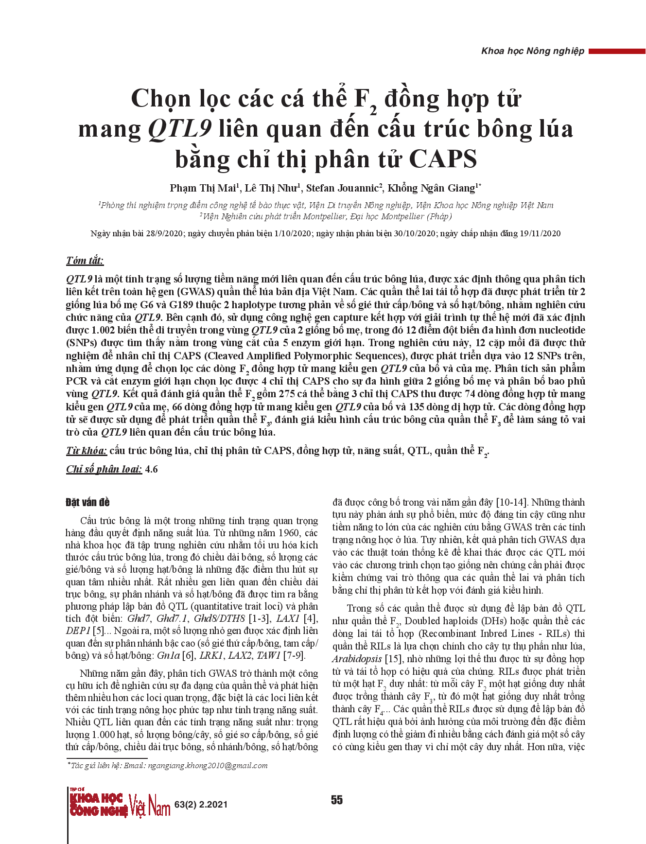 Chọn lọc các cá thể F2 đồng hợp tử mang QTL9 liên quan đến cấu trúc bông lúa bằng chỉ thị phân tử CAPS.