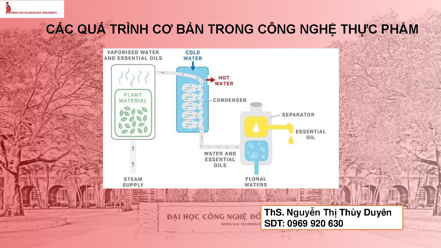 Các quá trình cơ bản trong công nghệ thực phẩm