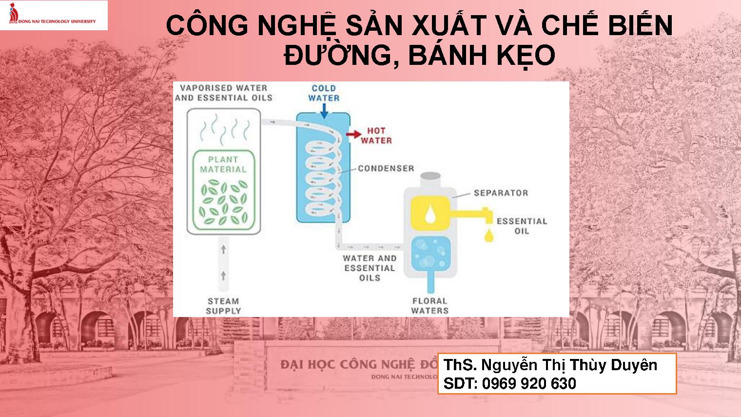 Công nghệ sản xuất và chế biến đường, bánh kẹo